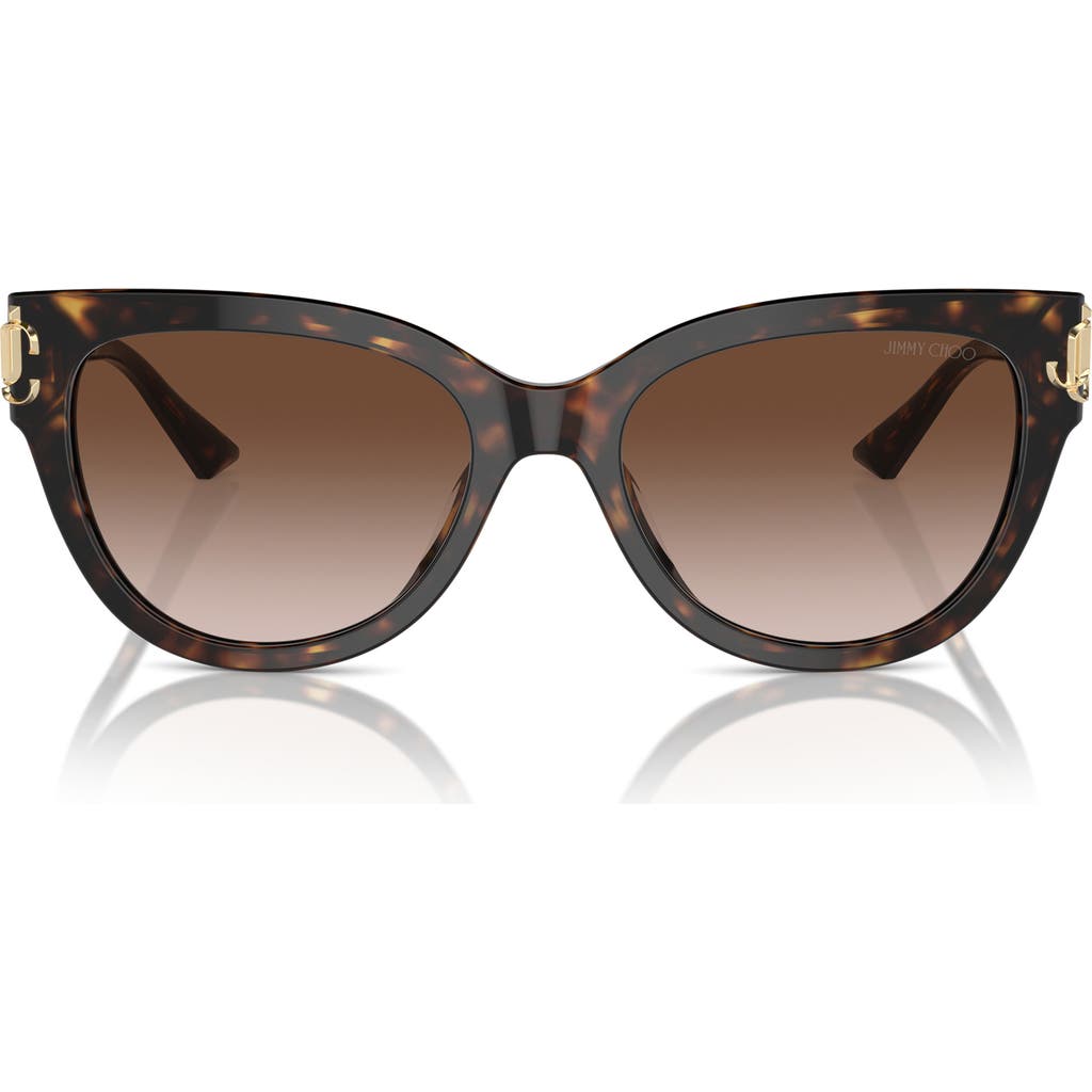 Jimmy Choo Jimmy Choo 54mm Gradient Phantos Sunglasses