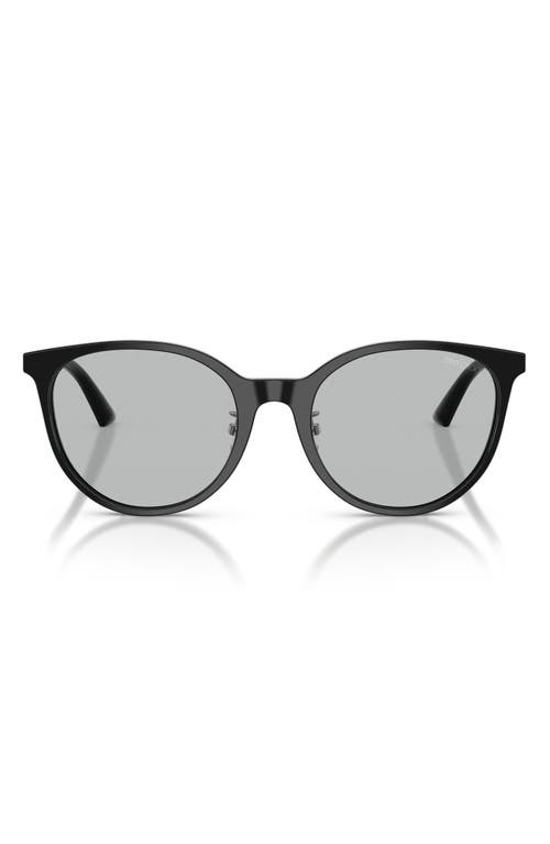 Jimmy Choo Jimmy Choo 54mm Phantos Sunglasses