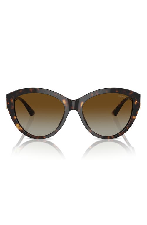 Jimmy Choo Jimmy Choo 55mm Polarized Gradient Phantos Sunglasses
