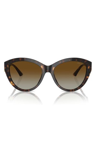 Jimmy Choo Jimmy Choo 55mm Polarized Gradient Phantos Sunglasses