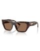 Jimmy Choo Jimmy Choo JC5035BF 54mm Cat Eye Sunglasses - 2