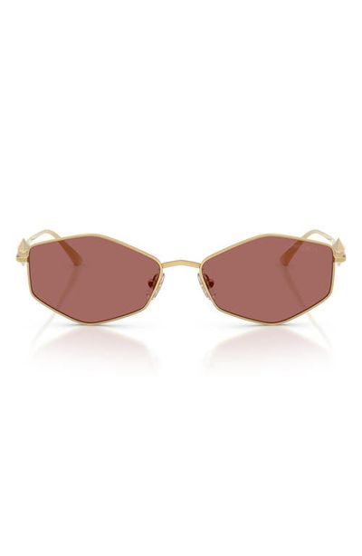 Jimmy Choo Jimmy Choo Zoey 55mm Geometric Sunglasses