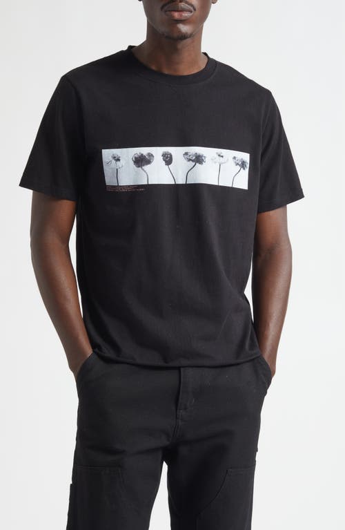 JKEEFER JKEEFER Line Up Organic Cotton Graphic T-Shirt