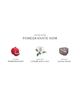 Jo Malone London™ Jo Malone London™ Pomegranate Noir Body & Hand Lotion  - 3