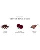 Jo Malone London™ Jo Malone London™ Velvet Rose & Oud Cologne - 3