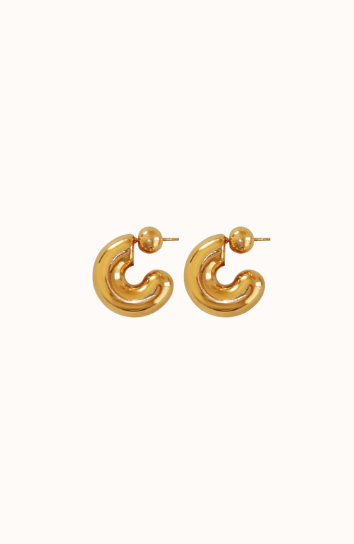 Joiana Jewelry Joiana Jewelry The Perfect Hoops Earrings