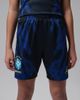 Jordan Brand Youth Jordan Brand Blue Brazil National Team Dri-FIT Stadium Replica Shorts  - 1