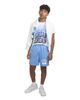 Jordan Jordan Boys' Woodmark Jumpman Mesh Shorts - 3