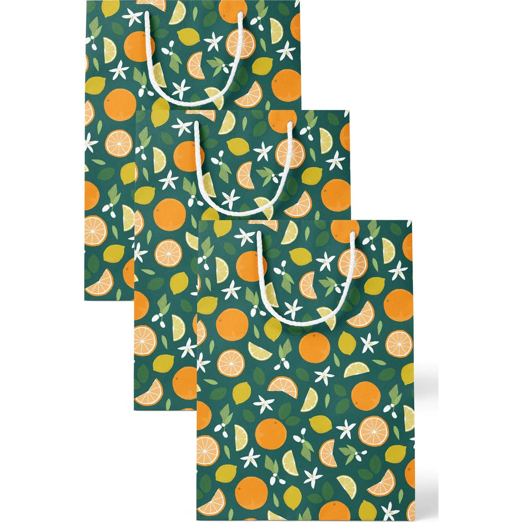 Joy Paper Co. Joy Paper Co. Citrus & Floral Gift Bag Set