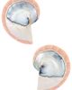 Julietta Julietta x REVOLVE Nautilus Earrings - 1