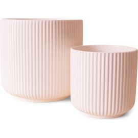 Jungle Club Jungle Club Lucy Planter
