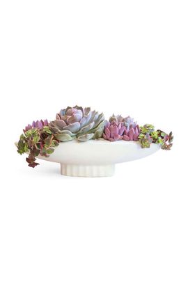Jungle Club Jungle Club Luna Boat Bowl Planter