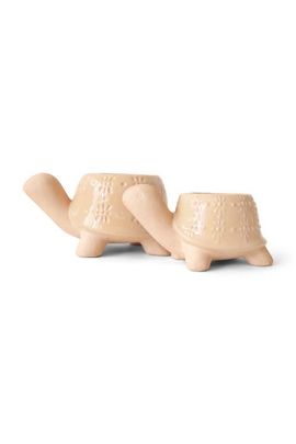 Jungle Club Jungle Club Turtle Planter Duo