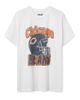 Junk Food Clothing Junk Food Clothing Unisex Chicago Bears Throwback Helmet Tee - 1