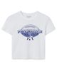 Junk Food Clothing Junk Food Clothing Women's New England Patriots Repeat Baby Tee - 1