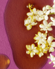 JURLIQUE JURLIQUE Purely Age-Defying Firming Face Oil - 2