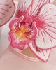 JW PEI JW PEI Sofia orchid sphere heel mules in pink - 2