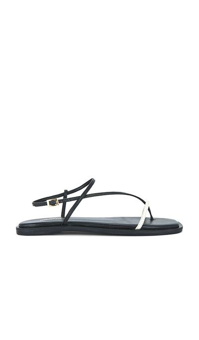 Kaanas Kaanas Alayta Square Toe Sandal
