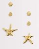 Kaiia Kaiia 3 pack stainless steel starfish and shell stud earrings in gold tone-Multi - 1