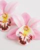 Kaiia Kaiia exclusive 3D orchid flower stud earrings in pink - 3