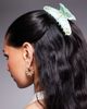 Kaiia Kaiia exclusive rhinestone starfish hair claw clip in blue and green - 1