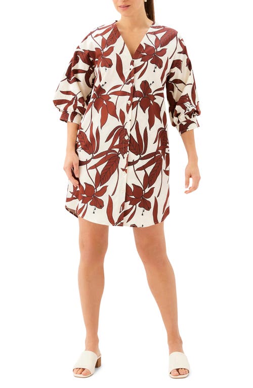 Karen Kane Karen Kane Lantern Sleeve Dress