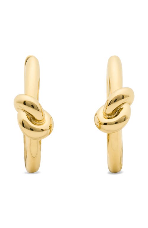 Kate Spade New York Kate Spade New York Knotted Huggie Hoop Earrings