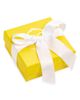 Kendra Scott Kendra Scott Mini Elisa Amelia Necklace Set - 3
