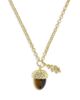 Kendra Scott Kendra Scott Tiger's Eye Acorn Pendant Necklace, 16 - 1