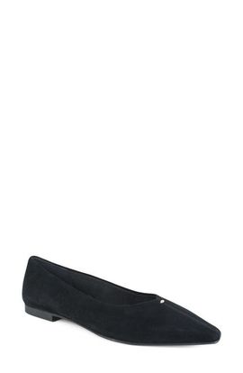 Kenneth Cole Kenneth Cole Nala Pointed Toe Flat
