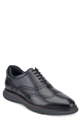 Kenneth Cole New York Kenneth Cole New York Lendal Wingtip Oxford
