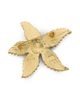Kenneth Jay Lane Women's Two-Tone Starfish Brooch - 3