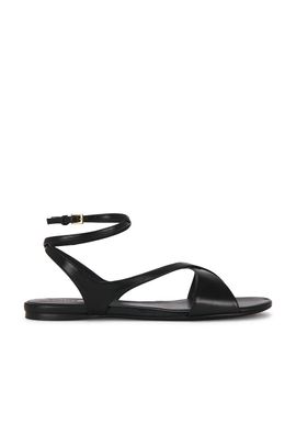 KHAITE KHAITE Liria Ankle Strap Flat Sandal