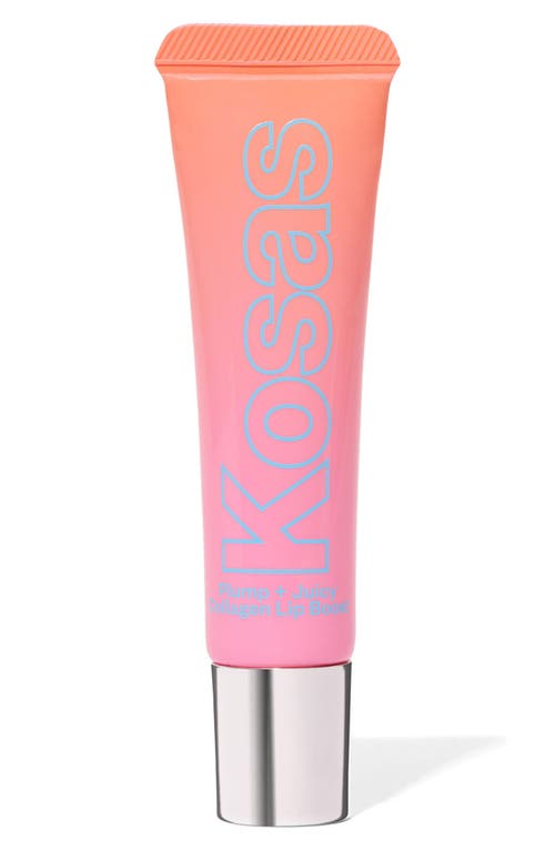Kosas Kosas Plump & Juicy Lip Booster 
