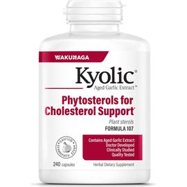 Kyolic Kyolic Aged Garlic Extract Formula 107, Phytosterols for Cholesterol Support, Capsules 240 Count