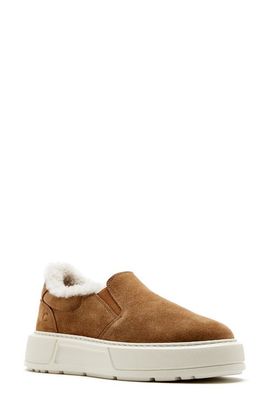 La Canadienne La Canadienne Valerie City Dry™ Genuine Shearling Lined Waterproof Slip-On Sneaker