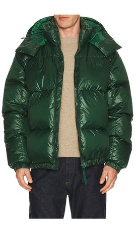 Lacoste Lacoste Nylon Shiney Puffer Jacket