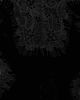 L'AGENCE L'AGENCE Kimber Lace Insert Cami Black - 6