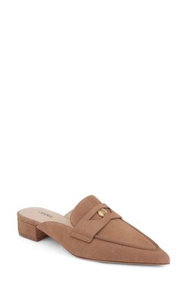 L'AGENCE L'AGENCE Provence Mule