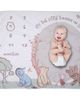 Lambs & Ivy Lambs & Ivy Disney Pooh Bear and Pals Photo Opp Milestone Fleece Baby Blanket - 1