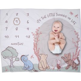 Lambs & Ivy Lambs & Ivy Disney Pooh Bear and Pals Photo Opp Milestone Fleece Baby Blanket