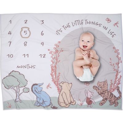 Lambs & Ivy Lambs & Ivy Disney Pooh Bear and Pals Photo Opp Milestone Fleece Baby Blanket