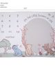 Lambs & Ivy Lambs & Ivy Disney Pooh Bear and Pals Photo Opp Milestone Fleece Baby Blanket - 3