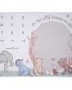 Lambs & Ivy Lambs & Ivy Disney Pooh Bear and Pals Photo Opp Milestone Fleece Baby Blanket - 4