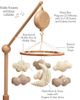 Lambs & Ivy Lambs & Ivy Organic Celestial Wood Baby Crib Mobile Soother Toy/Decor - 2