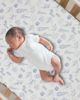 Lambs & Ivy Lambs & Ivy Pep Rally 3-piece Sports Baby - 5