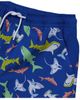 Lands' End Lands' End Boys Stretch Hydroliner Sport Swim Trunk - 3