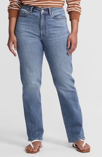 Lands' End Lands' End Denim High Rise Straight Curvy Jeans