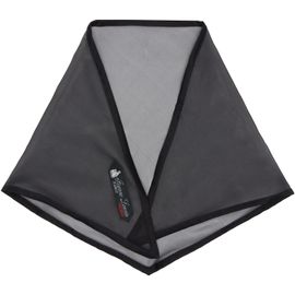 Lanvin Lanvin Black Silk Organza Triangle Scarf