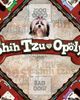 Late for the Sky Late for the Sky Shih-Tzu-Opoly Dog Themed Family Board Game, Ages 8+ - 5